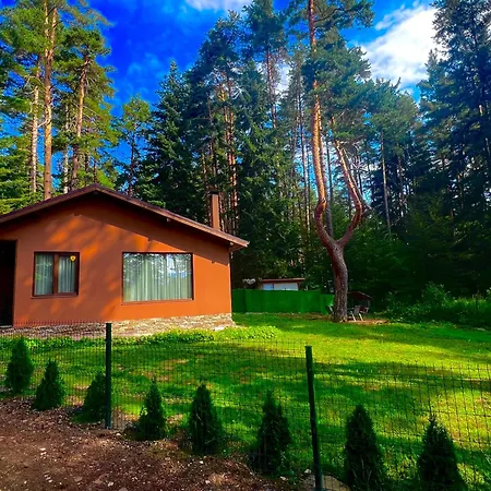 Capricorn 치고프 차르크