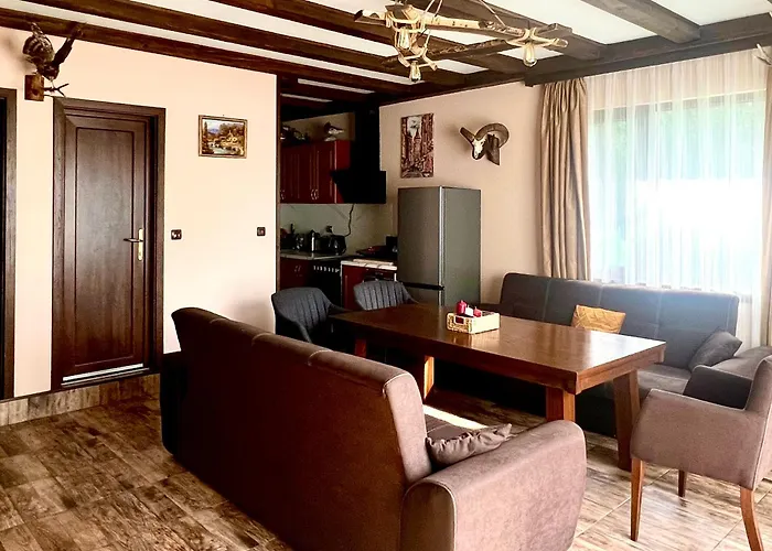 Capricorn تسيغوف تشارك