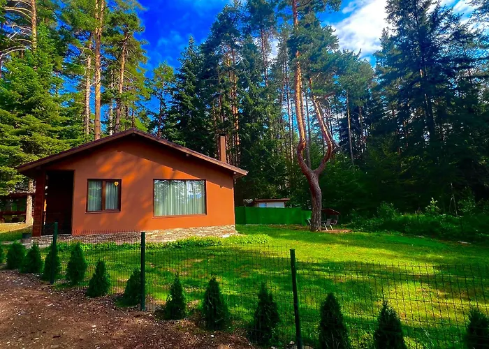 Capricorn تسيغوف تشارك